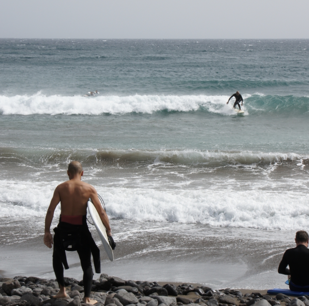 surf en fuerteventura